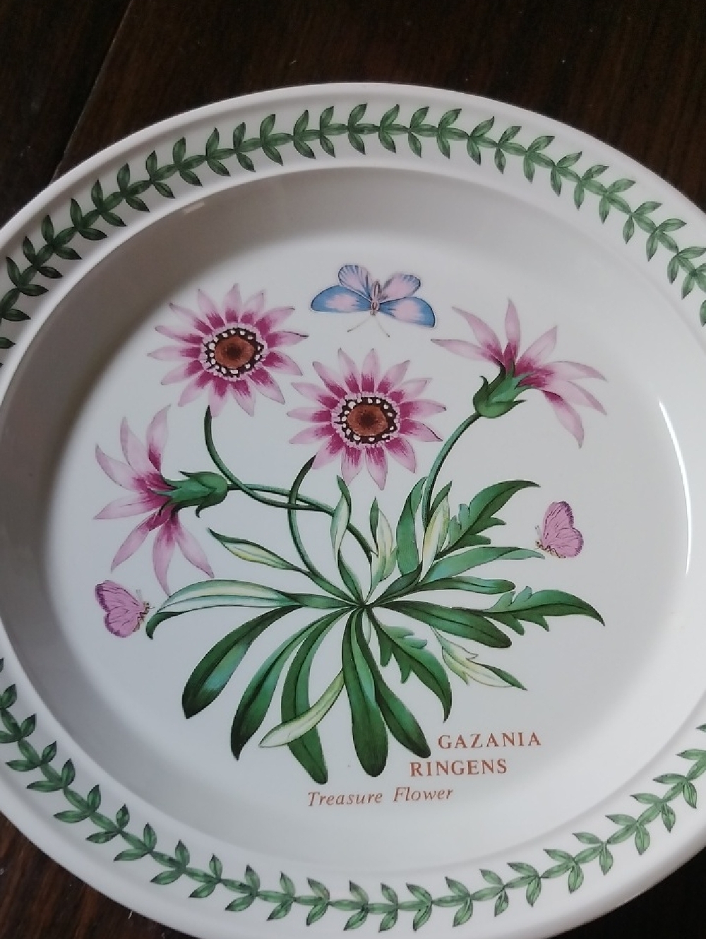 Port Meirion New Gazania Ringens Floral 8.5 Plate - Pink